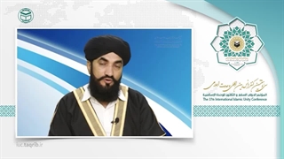 علامه حیدر علوی EN