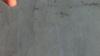 فن سانتریفیوژ طرح المان در زنجان 09121865671