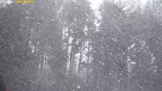 دلانوس - شعر از آرمان پرناک