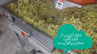 آبگیری مولتی پرس انگور