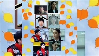 The Interstellar Experience