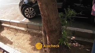 بررسی و کارشناسی ام ج MG 550 الوچک - ماشینهای خوبیه، حیف که استقبال نشد !