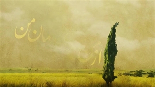 آهنگ فوق العاده زیبای همایون شجریان «ای یار من»