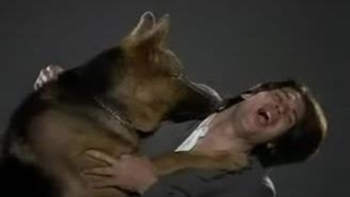 تیتراژ سریال خاطره انگیز کمیسر رکس