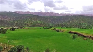 طبیعت زیبایی استان چهارمحال بختیاری