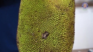 طرز تهیه نان میوه ای