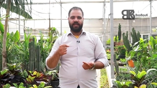 روش ازبین بردن آفت های گیاهان