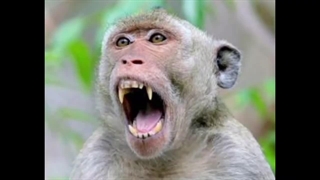 ۱۰ جای کره زمین که بازدید از آنجا ممنوع است