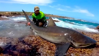 ماهیگیری با قلاب و ابزار ها و ترفند های جالب که تازه اختراع شدند