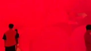 موزه هنر دیجیتال موری