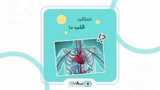 قلب چگونه کار میکنه - داروخانه آنلاین نسخه اول - داروخانه اینترنتی نسخه اول