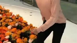 هَاپی جیمینا=♡+♡+♡♡♡♡♡♡♡♡♡♡♡♡♡کپشن