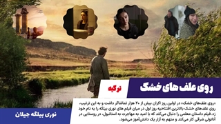 دنیای سلبریتی، فیلم و سریال ترکیه و جهان در هفته ای که گذشت