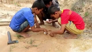 ساخت تله جالب توسط سه نوجوان تایلندی برای به دام انداختن تمساح