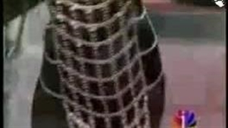 سوزان روشن (حقیقت)