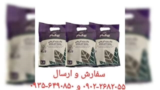 نمایندگی فروش خرید ارسال پخش قیمت عرضه خاک گل آپارتمان بهکام به کام بنفشه آفریقایی بونسای بنسای کوکوپیت زاموفیلیا در قم