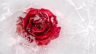 بیژن مرتضوی - آهنگ بیکلام گلایه