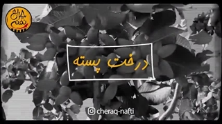 درختان بی ثمر (قسمت اوّل)