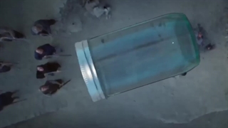 دانلود فیلم زالاوا