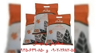 نمایندگی فروش خرید ارسال پخش قیمت عرضه خاک گل آپارتمان بهکام به کام بنفشه آفریقایی بونسای بنسای کوکوپیت زاموفیلیا در مهاباد