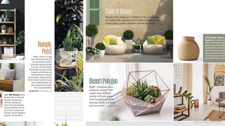 آموزش طراحی مجله از شروع تا پایان - صفحات داخلی - گرافیسم