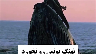 یونس را ماهی نخورد