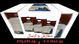 نمایندگی فروش خرید ارسال پخش قیمت عرضه عمده خاک گل آپارتمان بهکام به کام بنفشه آفریقایی بونسای بنسای کوکوپیت زاموفیلیا در تالش