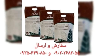 نمایندگی فروش خرید ارسال پخش قیمت عرضه عمده خاک گل آپارتمان بهکام به کام بنفشه آفریقایی بونسای بنسای کوکوپیت زاموفیلیا در شاهرود