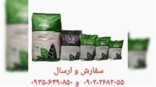 نمایندگی فروش خرید ارسال پخش قیمت عرضه عمده خاک گل آپارتمان بهکام به کام بنفشه آفریقایی بونسای بنسای کوکوپیت زاموفیلیا در مریوان