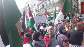 مردم الجزایر در حمایت از مردم مظلوم فلسطین و غزه - طوفان الاقصی