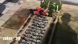 مزار سید جواد ذاکر قبرستان نو قم