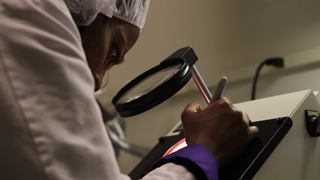 چرا محصولات فوراور کیفیت بالایی دارند؟