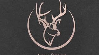 آموزش طراحی لوگو از روی عکس