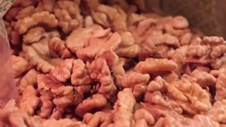 خرید و قیمت گردو اعلا 1402| خشکبار علی گیاهی