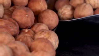 خرید لیمو عمانی درشت از فروشگاه خشکبار علی گیاهی