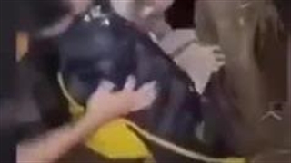 Finding a terrified, wounded, alone, shivering child in the dark of night under a tree