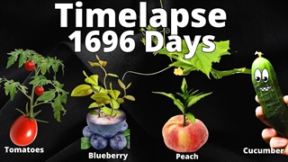 1696 روز در 60 دقیقه - مجموعه ای باورنکردنی تایم لپس از طبیعت