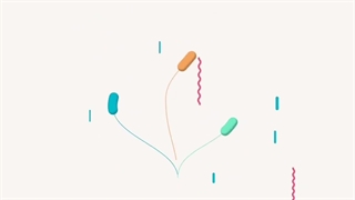 مدرس فیزیک محمدرضا میرحمیدی