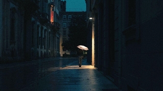 به نسیمی همه راه به هم می ریزد - دکلمه شعر فاضل نظری