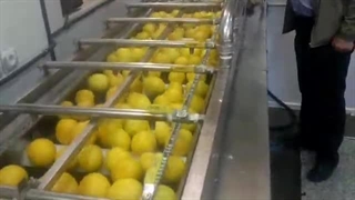 دستگاه وان شستشو تمام مکانیزه میوه و سبزیجات 09138900047