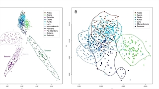 بررسی ژنتیکی اقوام ایران