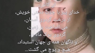 mahdi.babaei.sushiyant