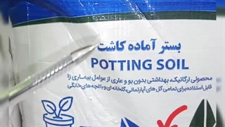 خرید فروش تهیه بهترین خاک مناسب ارگانیک پرلیت پیت ماس بستر آماده آموزش کاشت بذر گلخانه سینی برای نشا بهکام به کام در خانه تهران