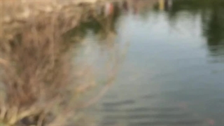 صبح بخیر کسی هست ؟