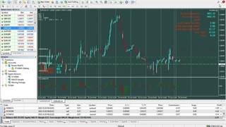 Maximizing Profits with Forex Trading Robots
