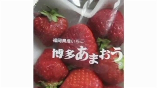 آپ های عکاسی( ^-^)ノ∠※。.:*:・'°☆