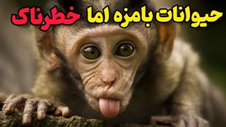 آشنایی با حیوانات خطرناکی که در عین حال بسیار دلپذیرند!