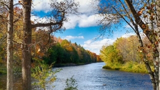 عجیب ترین جزیره شناورجهان:عجیب ترین جزیره شناورکه می شود آن را هل داد