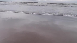 نمیرممم واقعا فکر نمیکردم انقد مهم باشم ممنونم