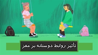 تاثیر روابط دوستانه بر مغز